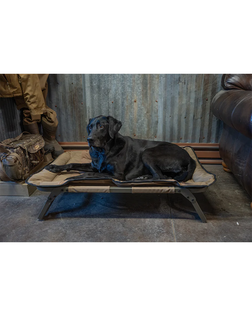 ASD Dog Cot - Image 6