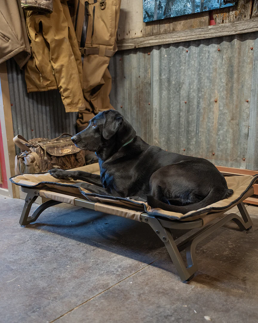 ASD Dog Cot - Image 7