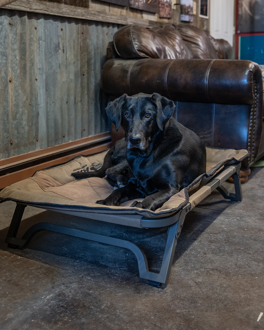 ASD Dog Cot - Image 8