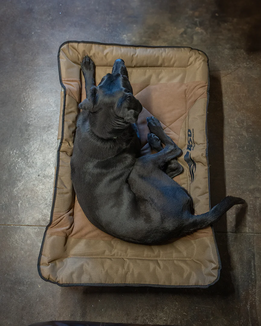 ASD Dog Cot - Image 9