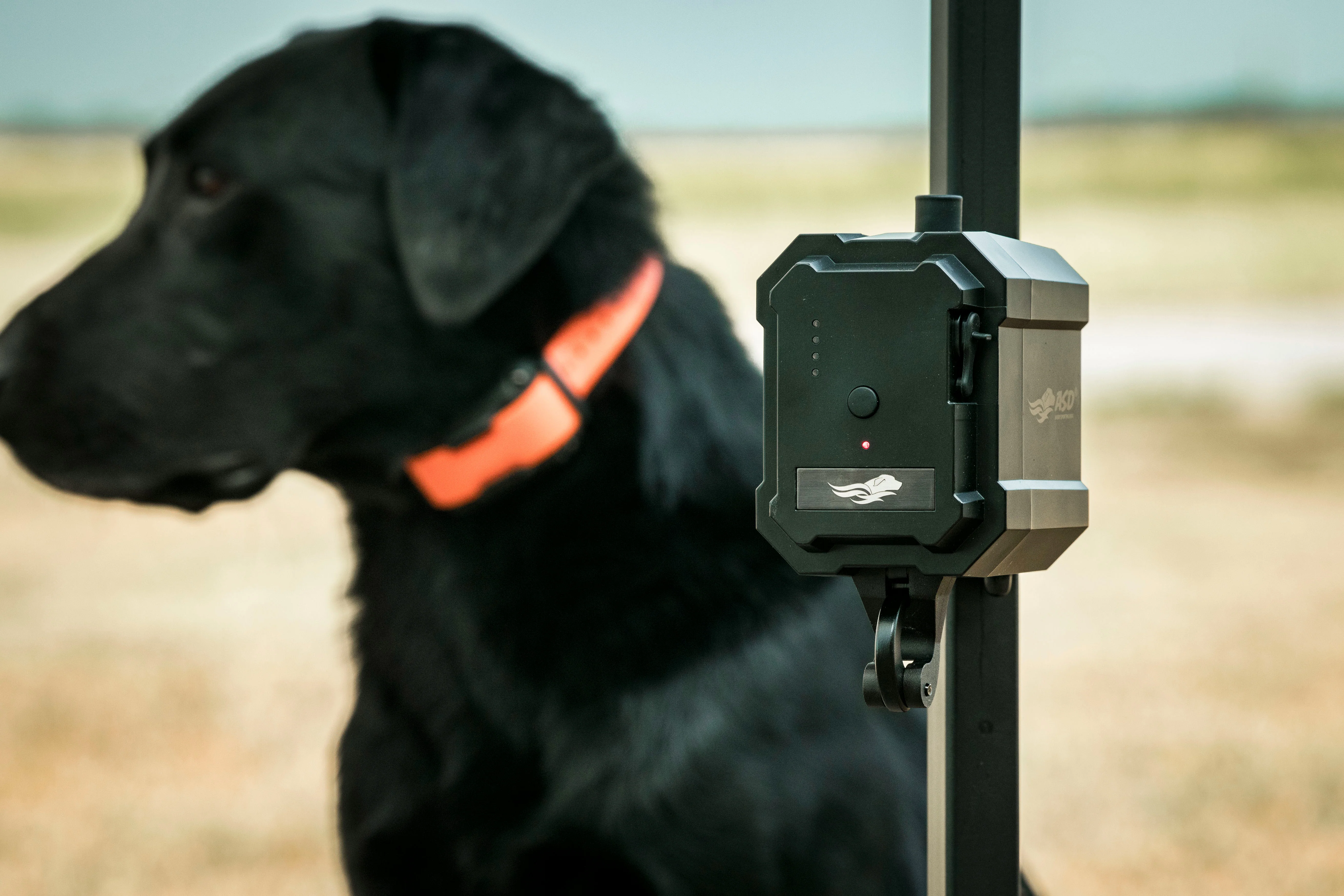 No Break Safety System - Image 5