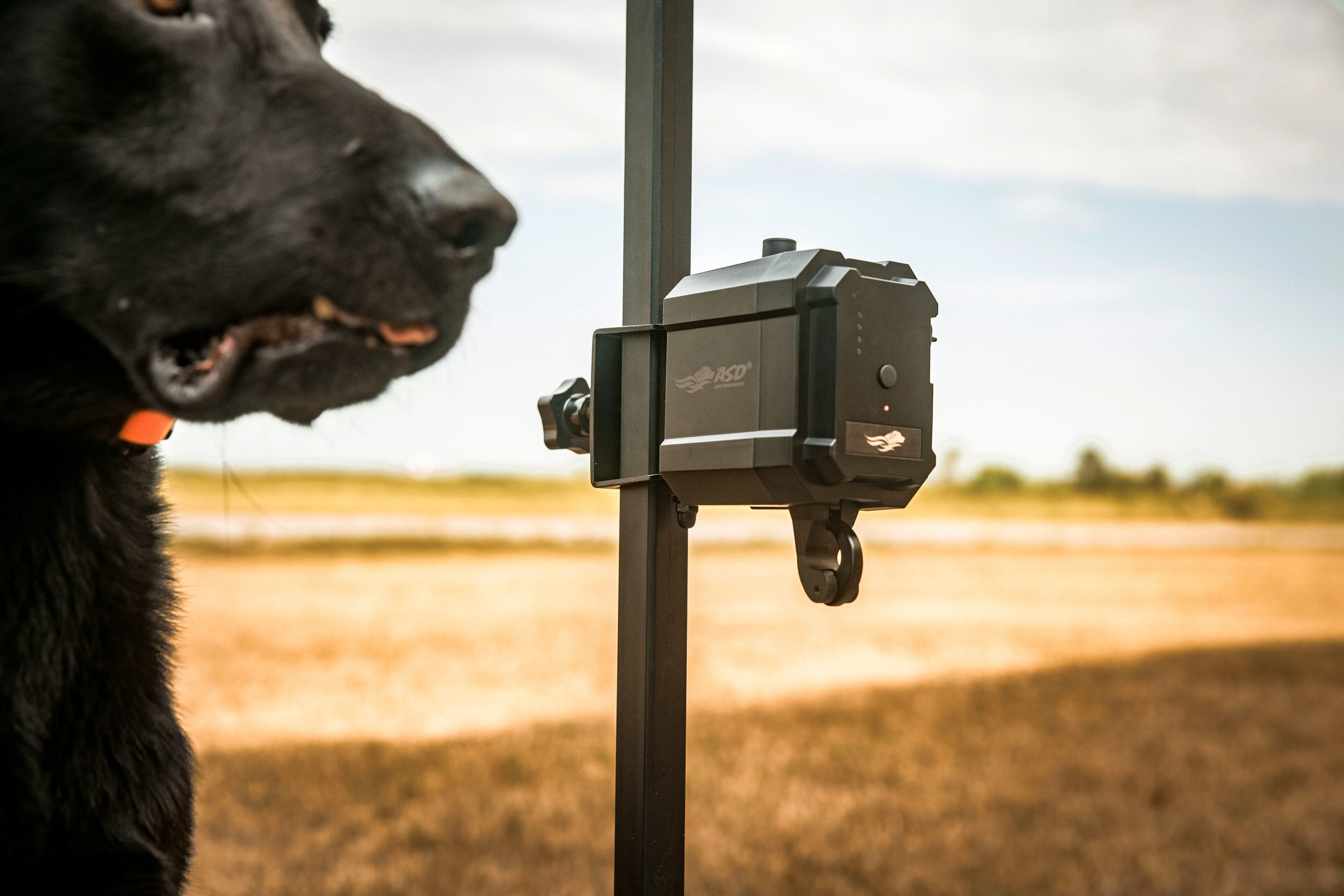 No Break Safety System - Image 7