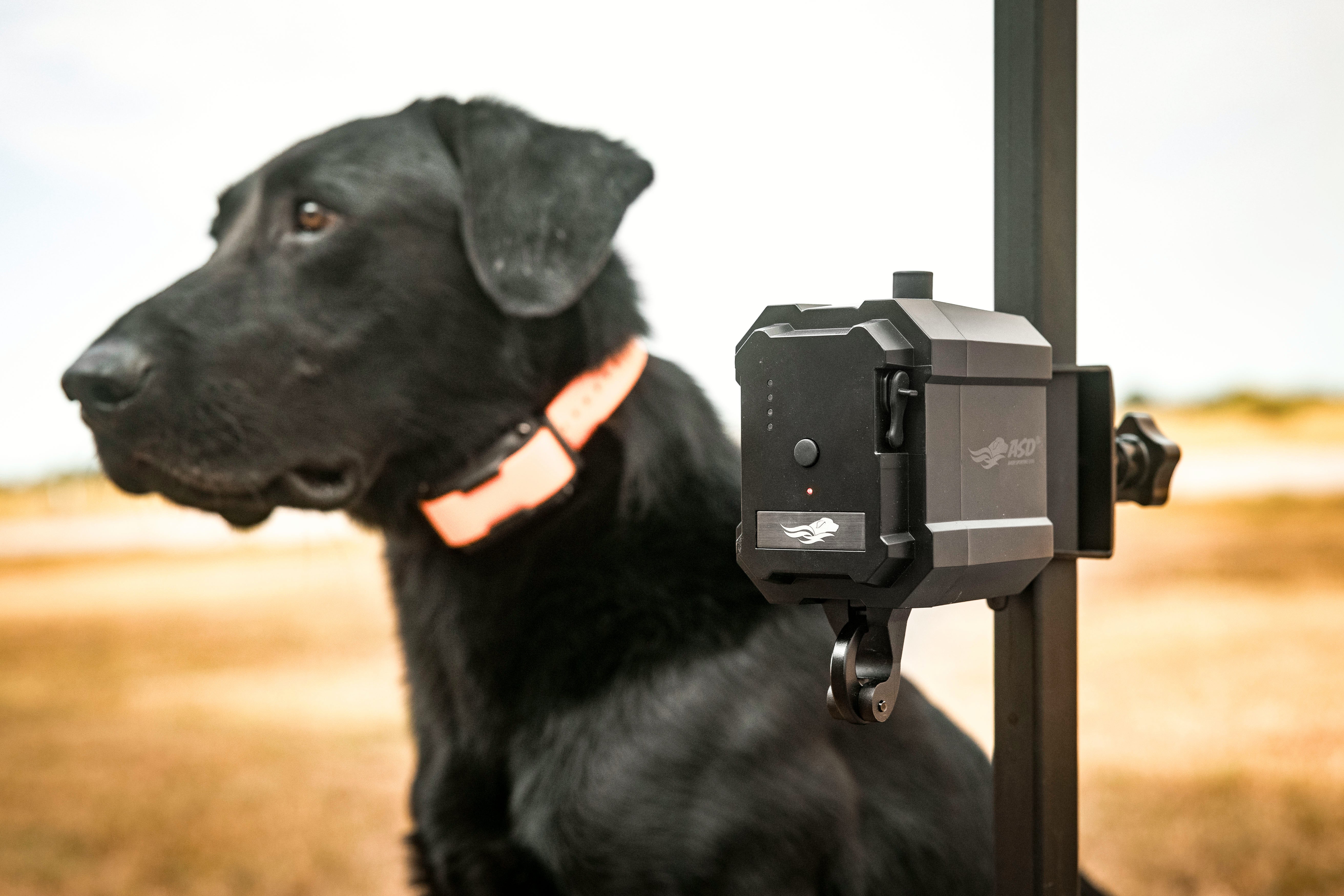 No Break Safety System - Image 8