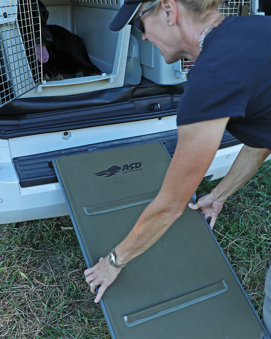 Dog Truck Ramp - Image 6
